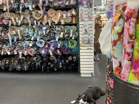 Mood Fabrics-纽约市必去景点