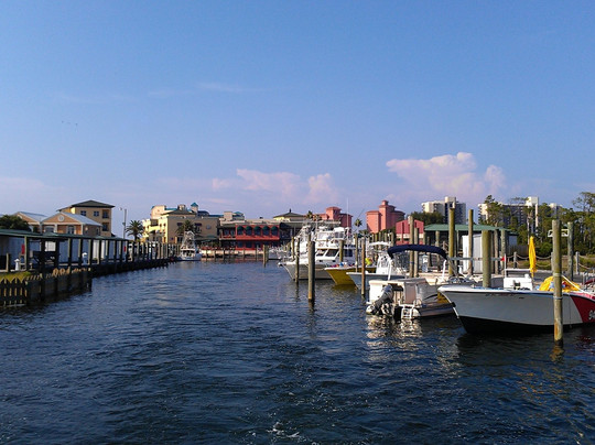 Reel Surprise Charters-橙色海湾必去景点