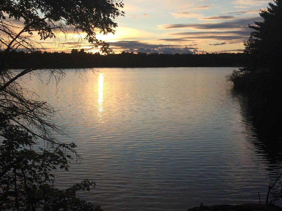 Coon Fork Lake County Park景点图片