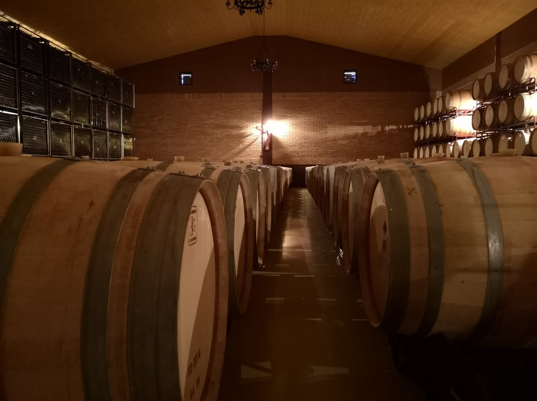 Bodegas Alvia-Ventosa必去景点