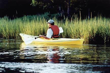 Barefoot Bubba's Kayak Rentals and Shop景点图片