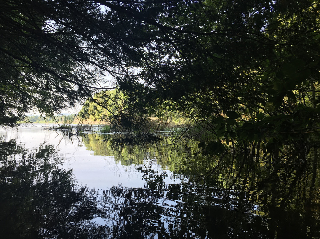 Leaser Lake Park景点图片