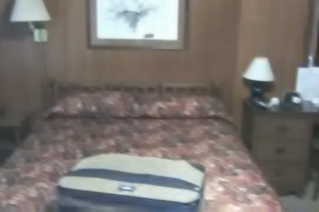 Star Gate Motel主图