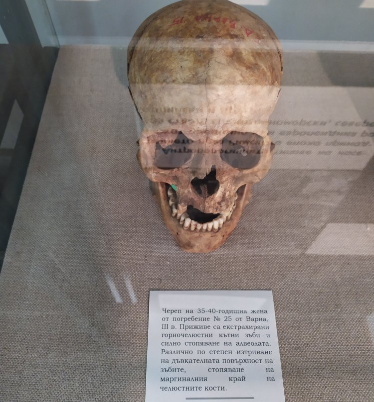 Museum of the History of Medicine-瓦尔纳必去景点