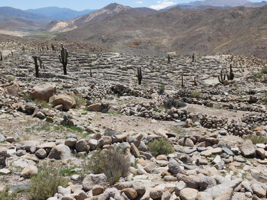San Antonio de los Cobres旅游景点-Museo de Sitio Tastil