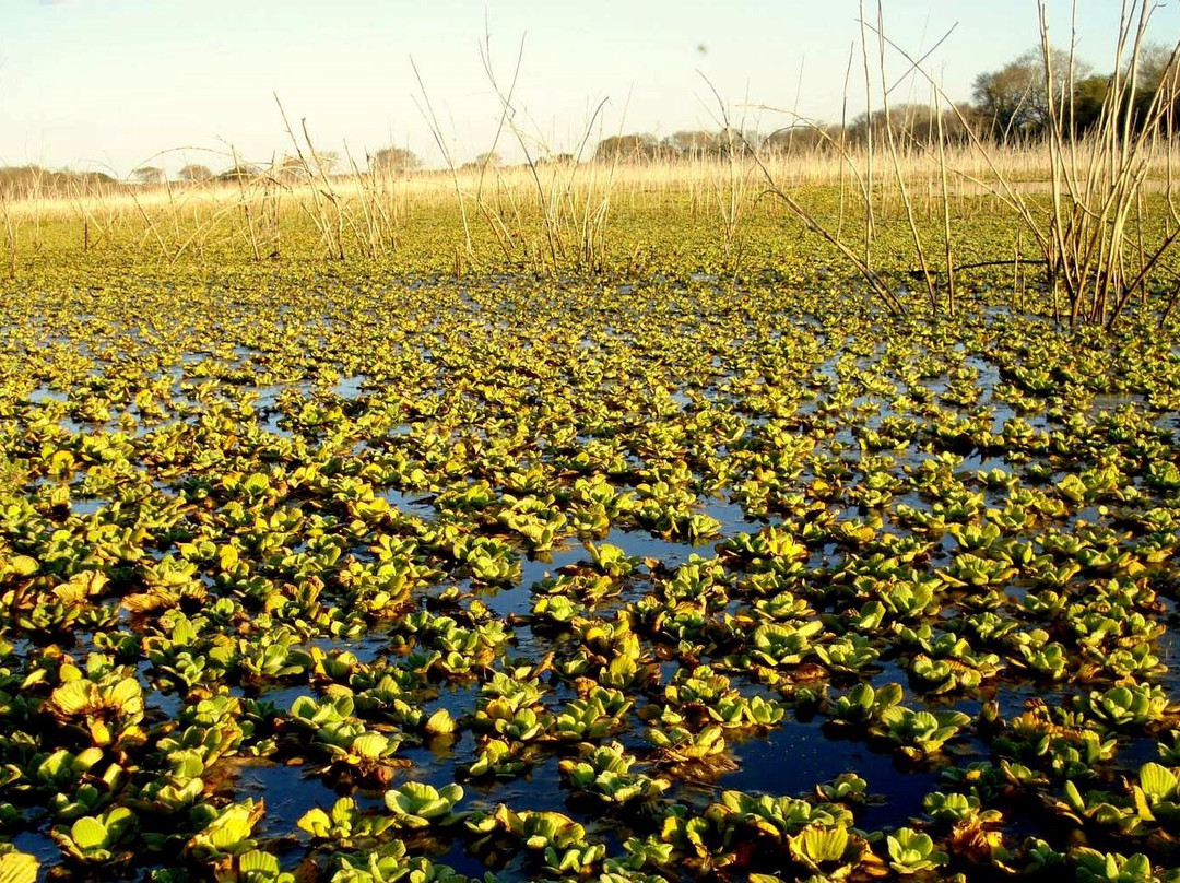 Reserva Natural Formosa景点图片