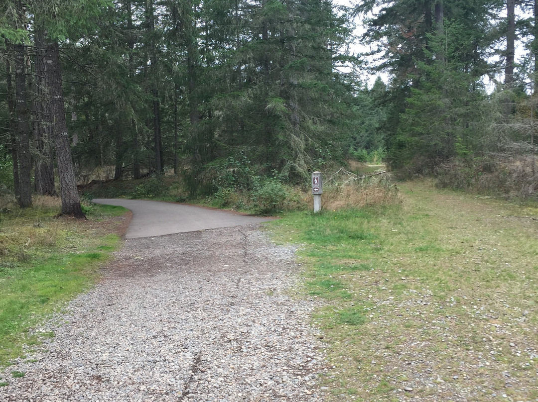 Sequalitchew Creek Trail Head景点图片