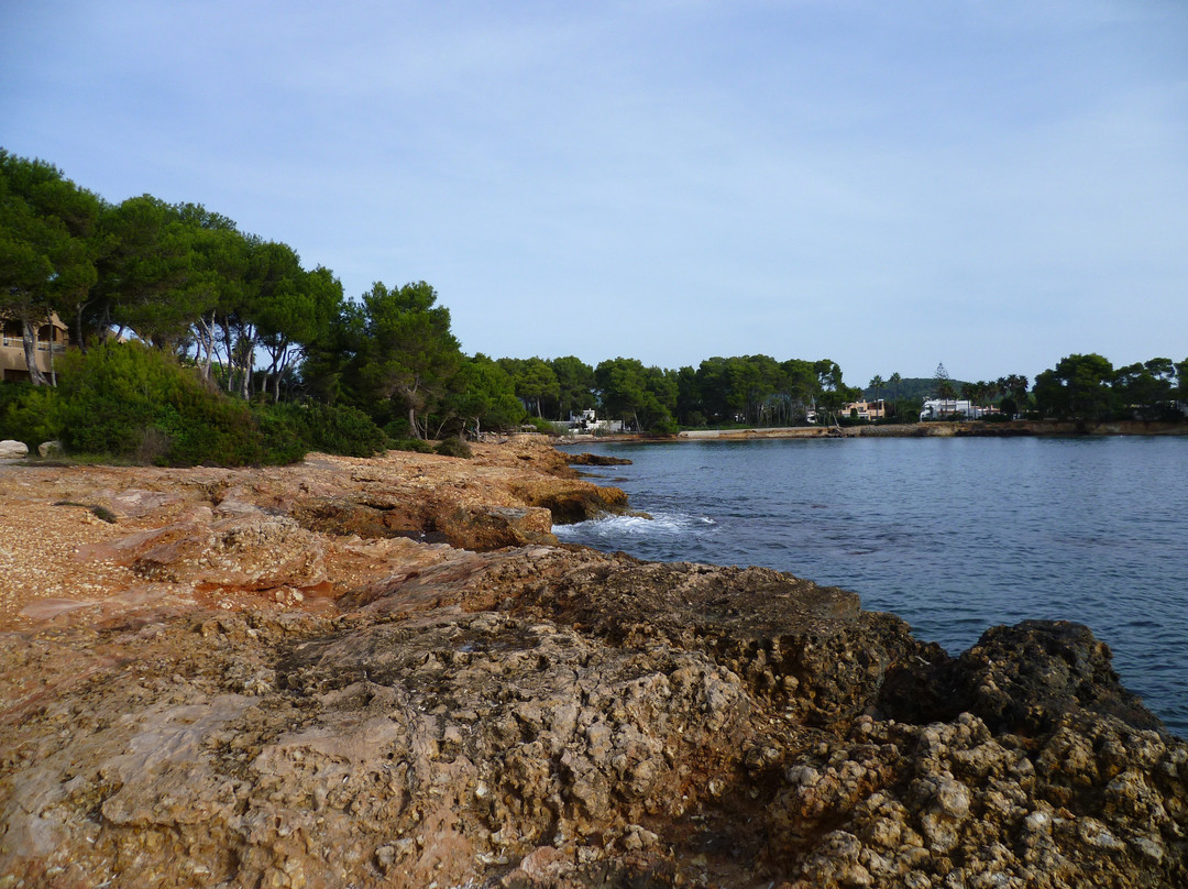 Grupotel Santa Eularia & Spa主图