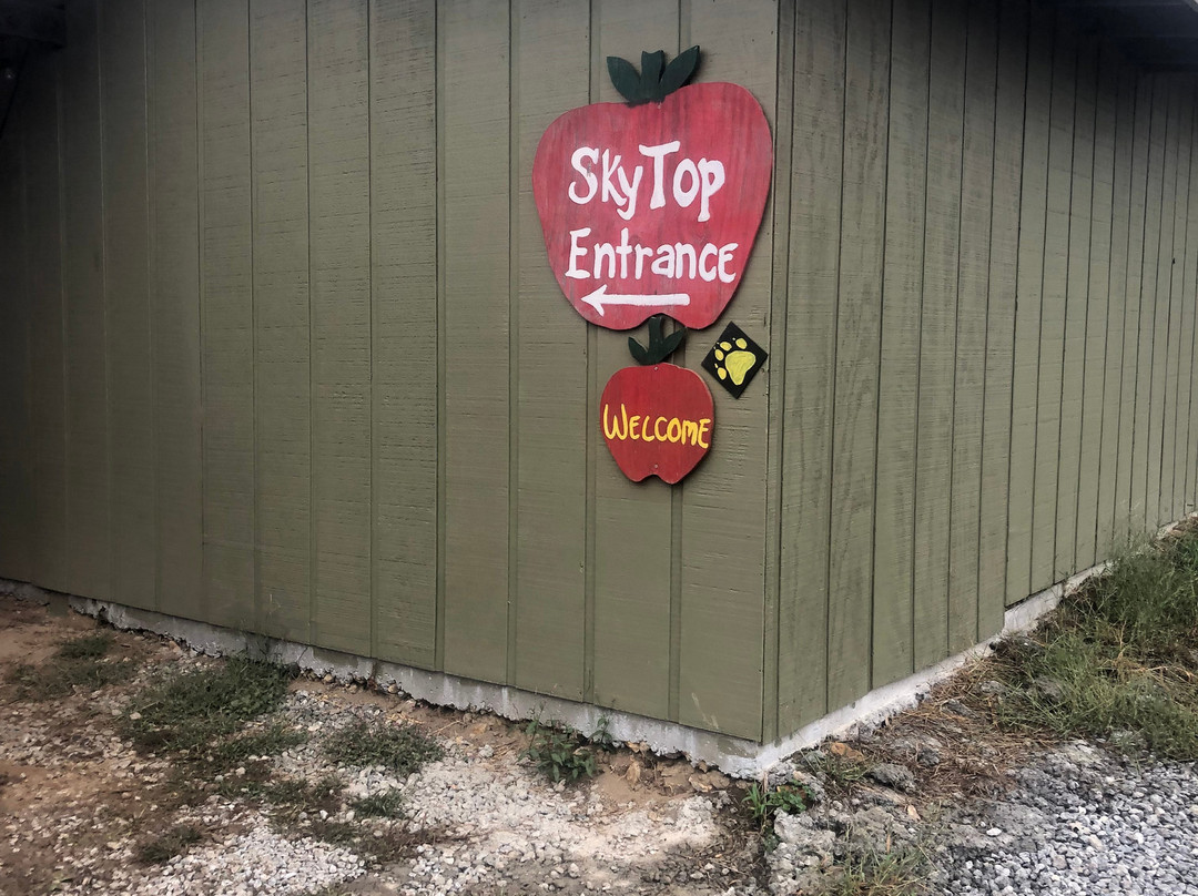 Sky Top Orchard-Flat Rock必去景点