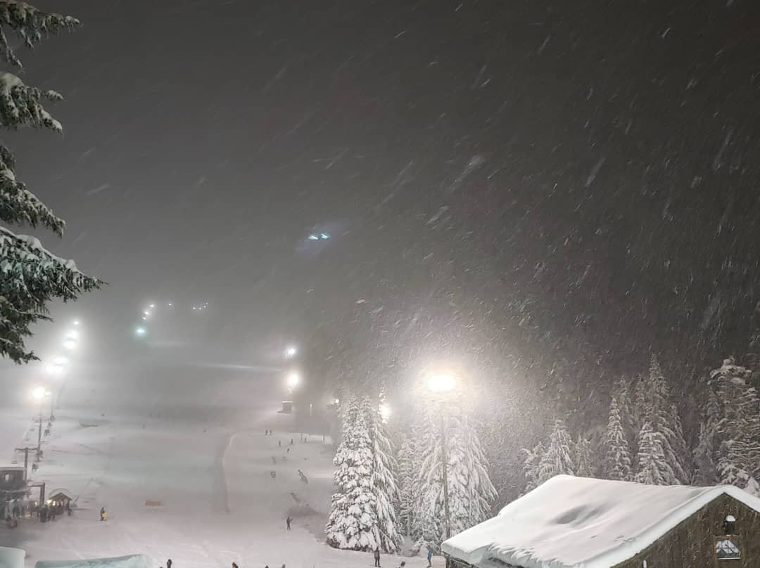 Mt. Hood Adventure Park at Skibowl-Government Camp必去景点