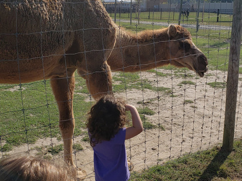 It's a Zoo Life-Macclesfield必去景点