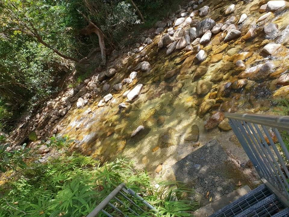 Alligators Nest-Tully必去景点