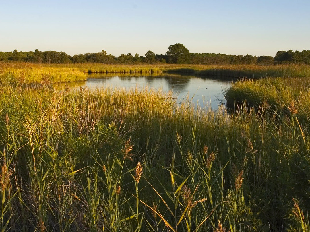 Chesapeake Bay Environmental Center景点图片