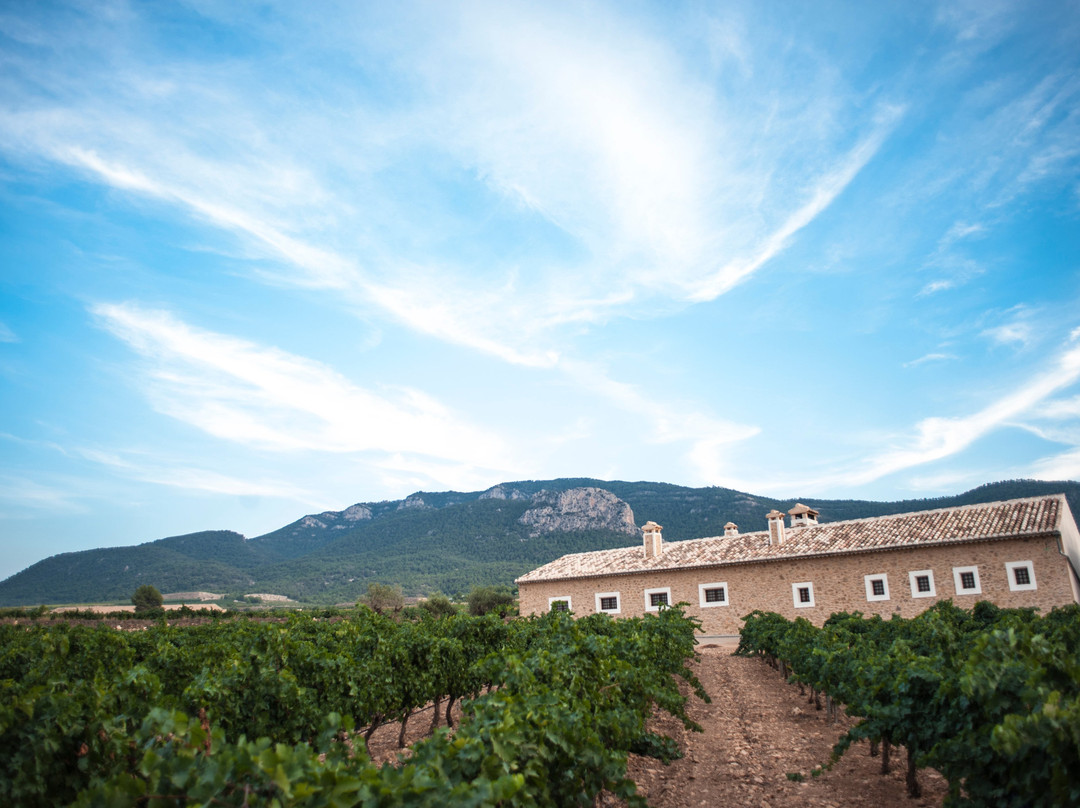 Bodegas Hacienda Del Carche-Jumilla必去景点