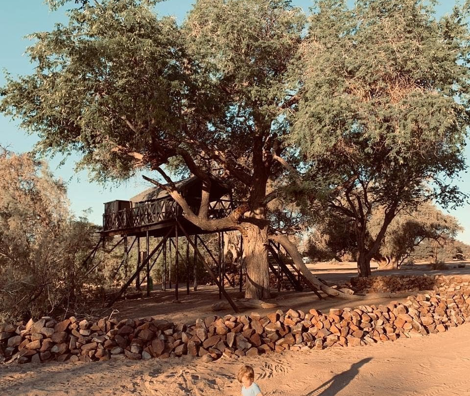 Brandberg White LadyLodge