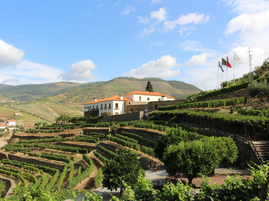 Quinta Do Pego主图