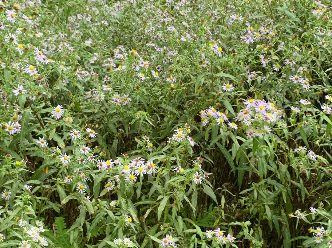 Chapel Brook-Ashfield必去景点