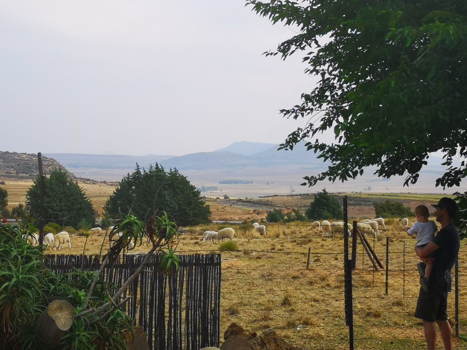 Ladybrand Khaya Lodge