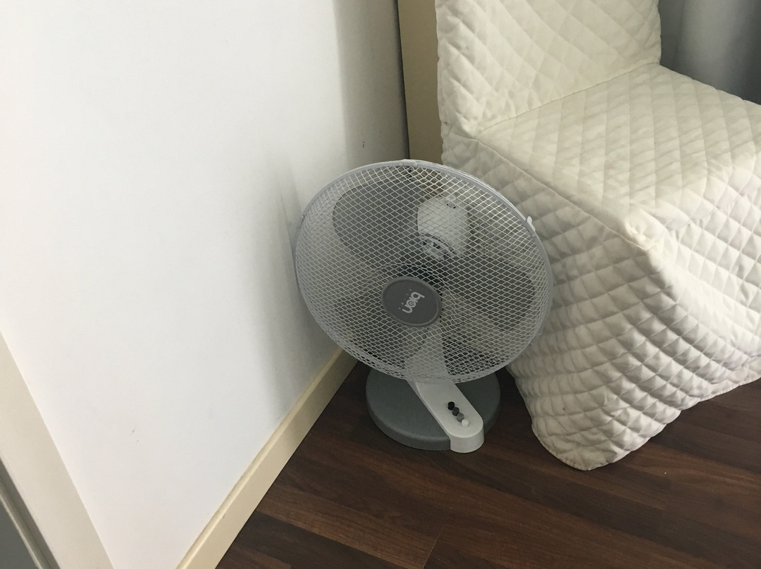 Albergo Ristorante Alfredo da Persichella 1960主图