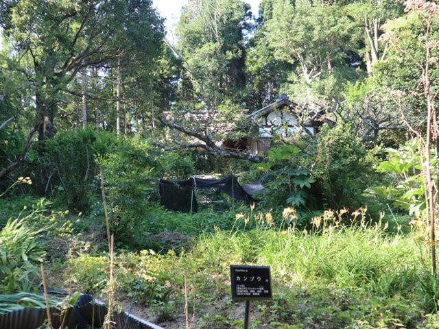 Morino Former Herbal Garden景点图片