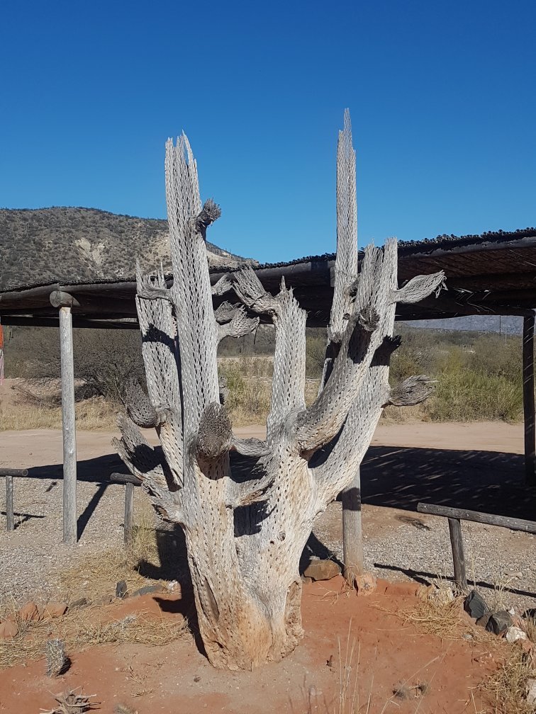 El Chiflon Posta Pueblo-官方