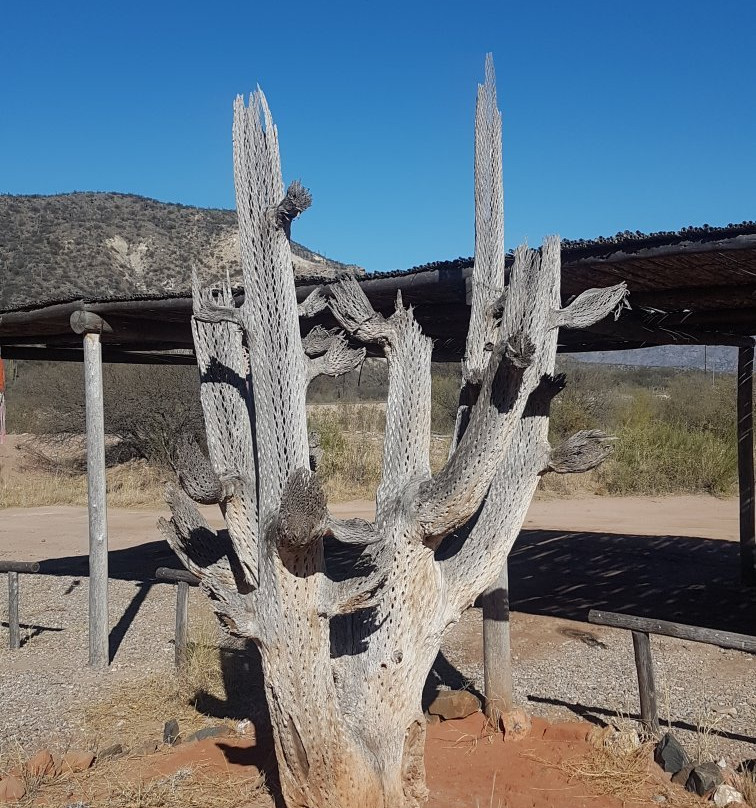 El Chiflon Posta Pueblo主图