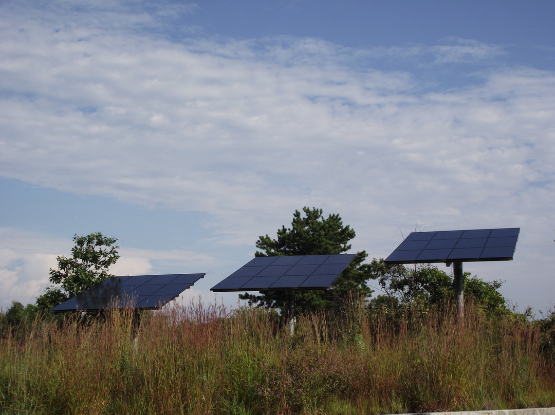Albany Pine Bush Preserve-奥尔巴尼必去景点