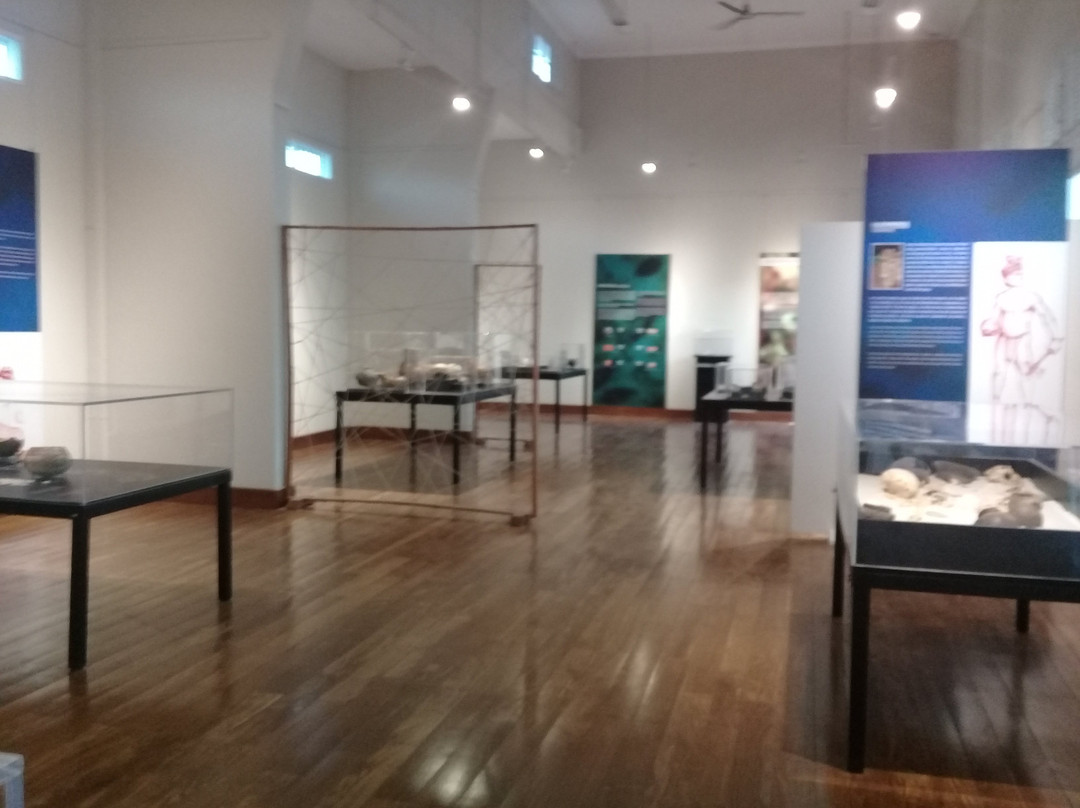 Museo de Guanacaste景点图片