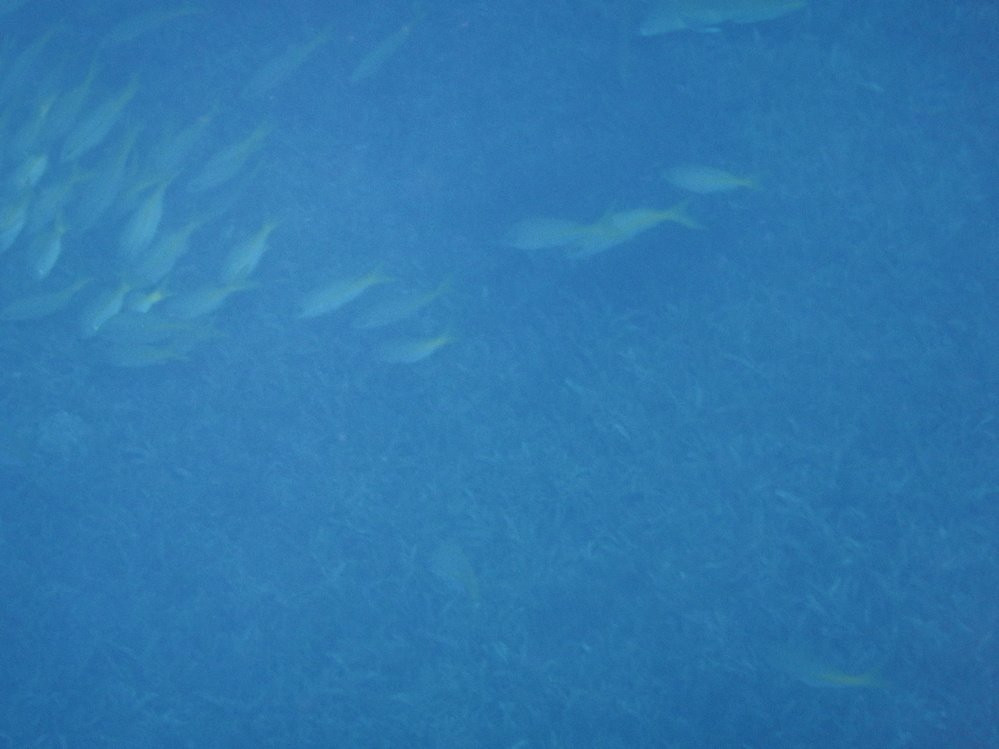 Maman Dlo-Saint-Pierre必去景点