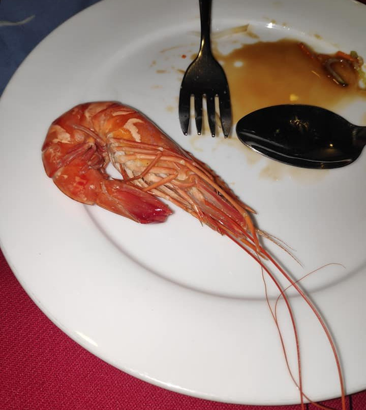 Halong Bay Cruises-河内必去景点