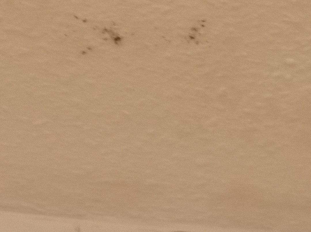 Hotel-Restaurant Zum Zeppelin主图