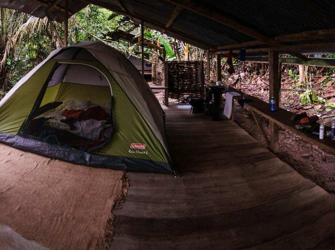 Otobo's Amazon Safari-亚苏尼国家公园必去景点