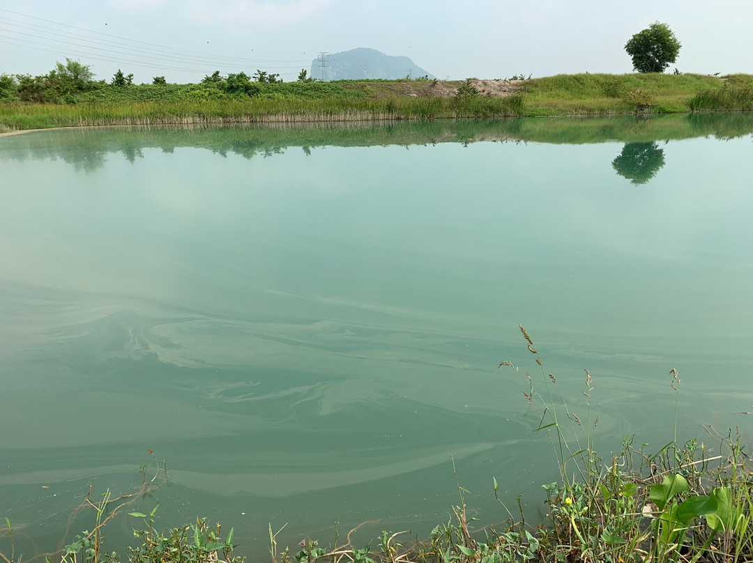 Blue Lagoon景点图片