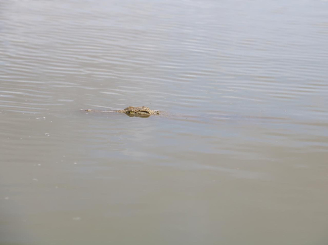 Naza's Tanzania Safari-Dar es Salaam必去景点