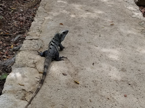 Paradise Adventours-图伦必去景点