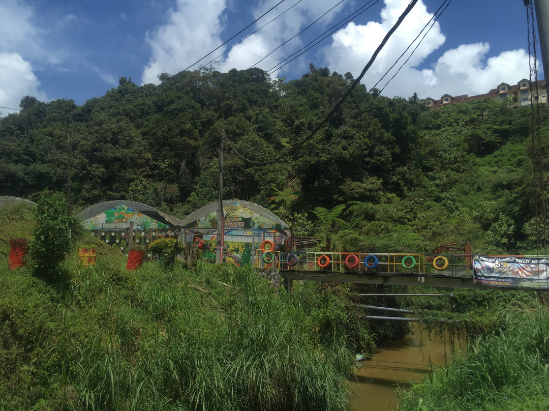 Cameron Highlands Trail No. 9-丹那拉塔必去景点