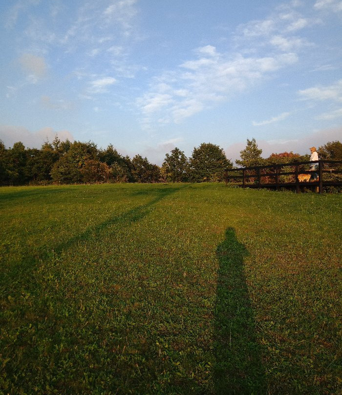 Leksand Memorial Park-当别町必去景点