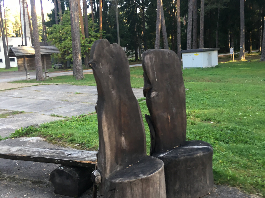 Tartumaa Tervisespordikeskus景点图片