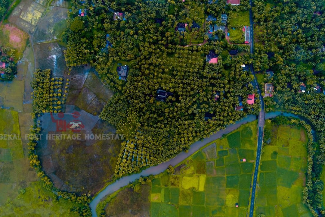 Chandralayam Homestay主图