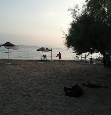 Kucukkuyu Halk Plajı