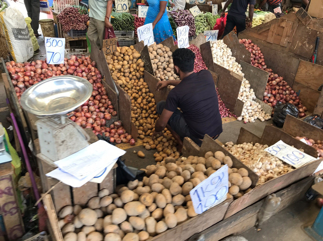 Tuk It Easy Colombo-科伦坡必去景点