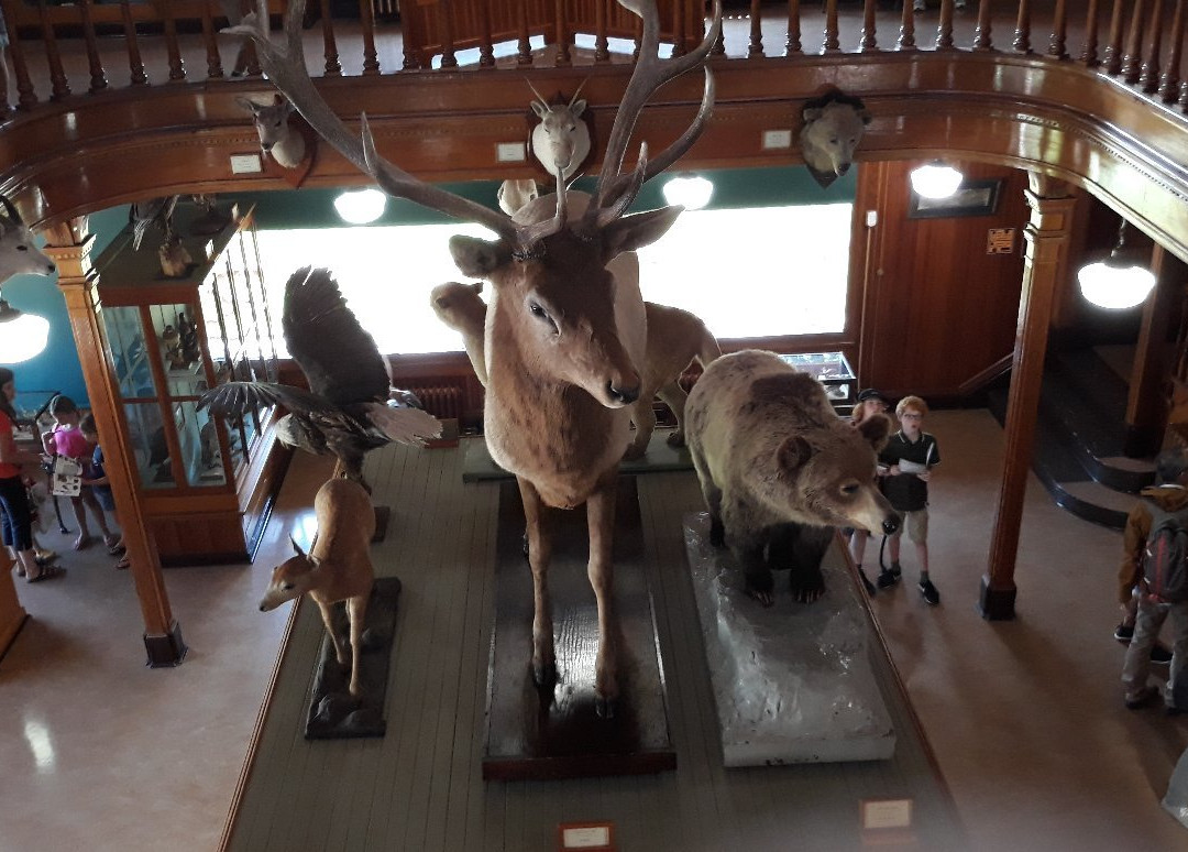 Banff Park Museum-班夫必去景点