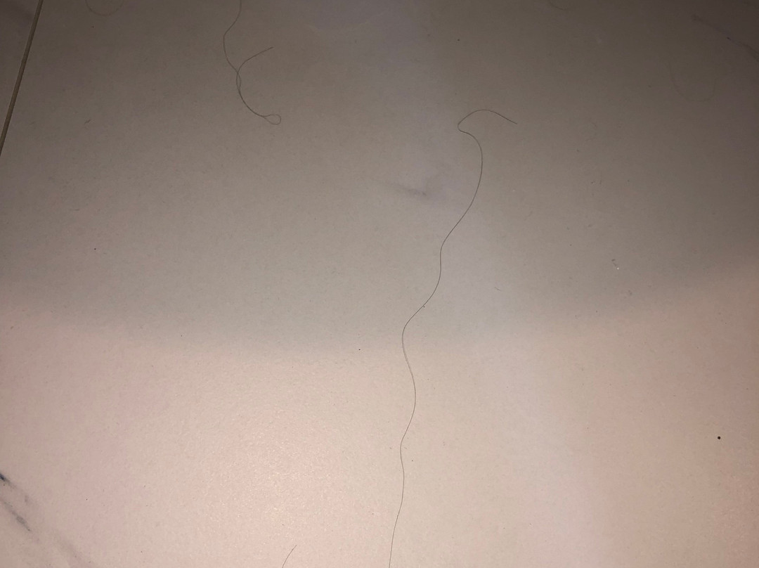 Greenlane Motel主图