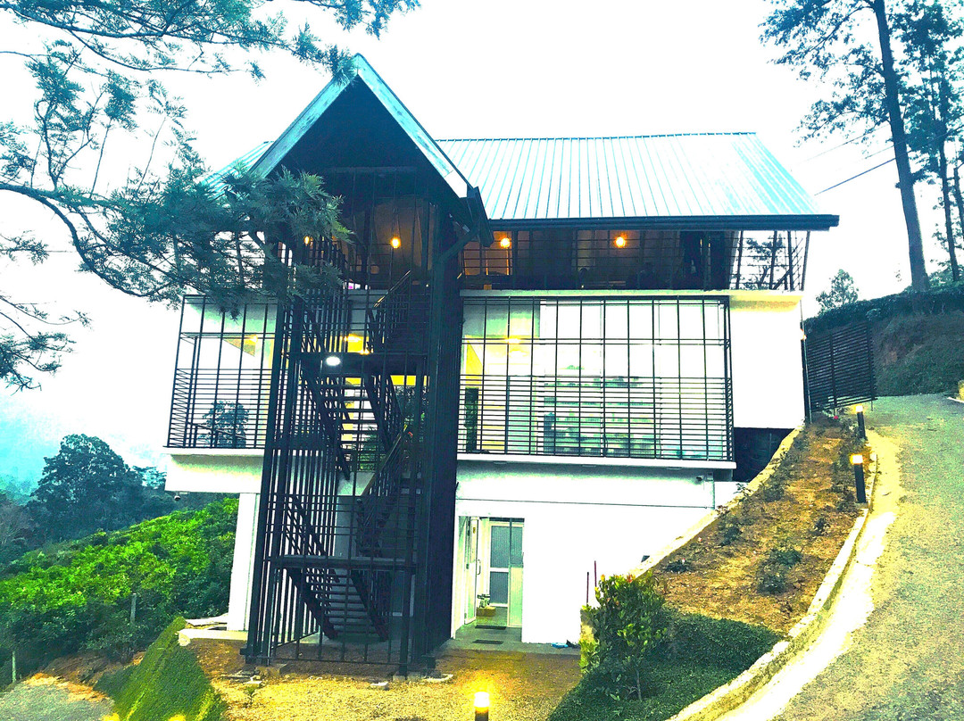 Aloft Grand Hotel主图