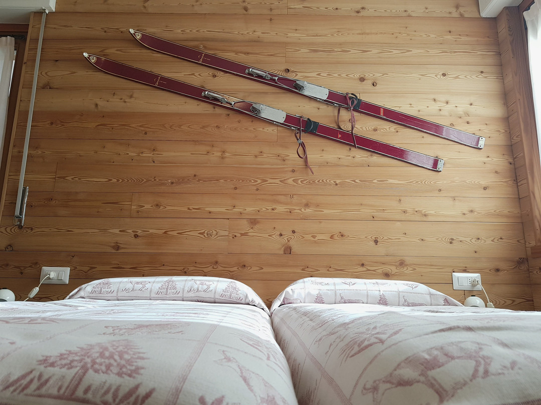 Albergo Soldanella主图