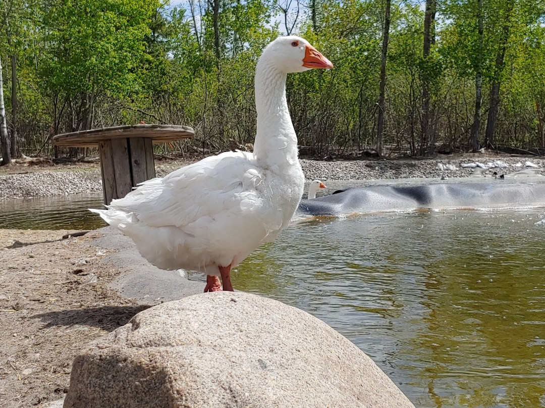 The 10 Acre Woods-Anola必去景点