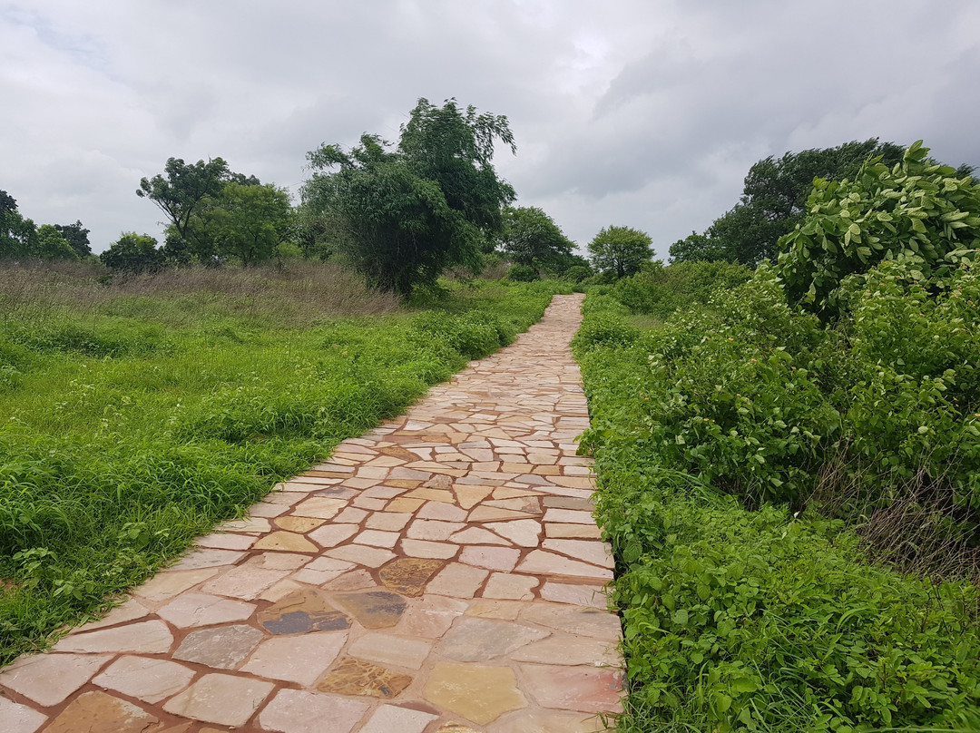 Udayagiri Caves-Vidisha必去景点
