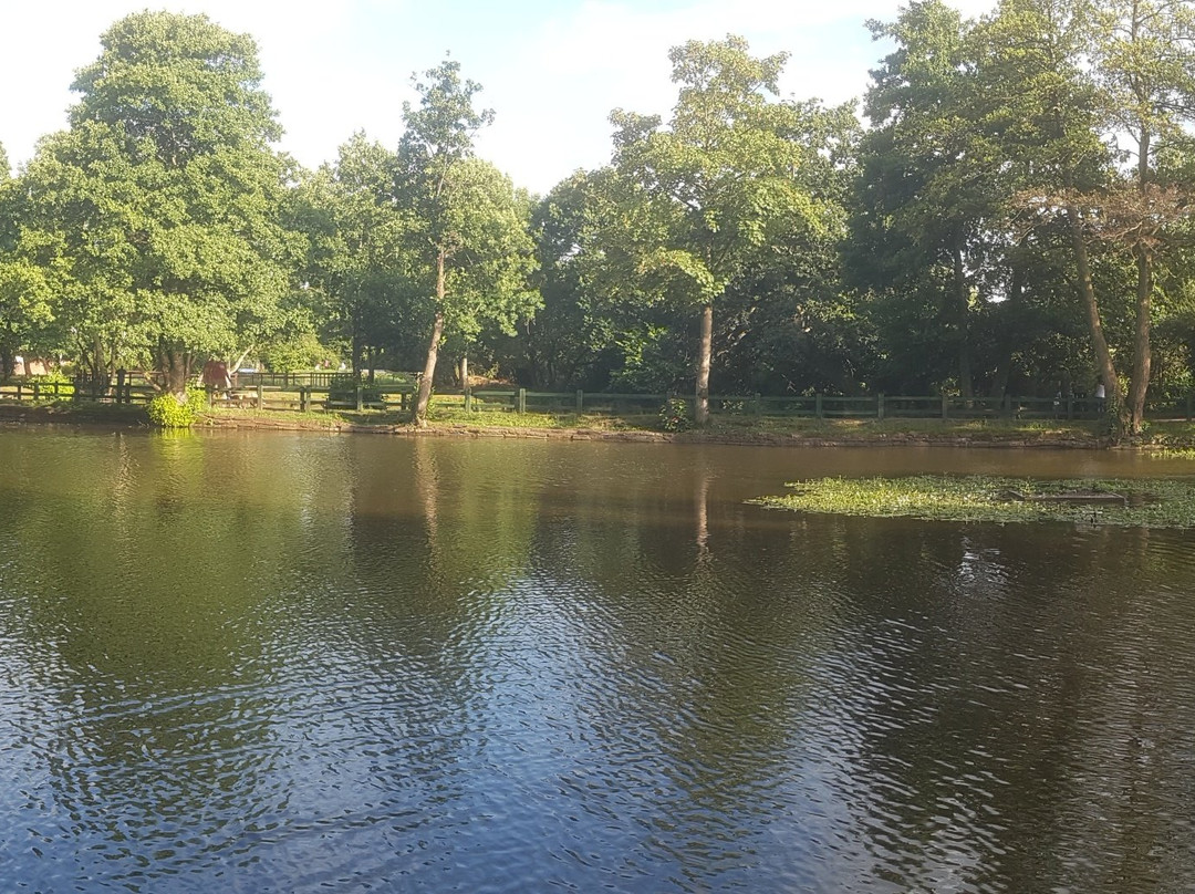 Wellington Basin-惠灵顿必去景点