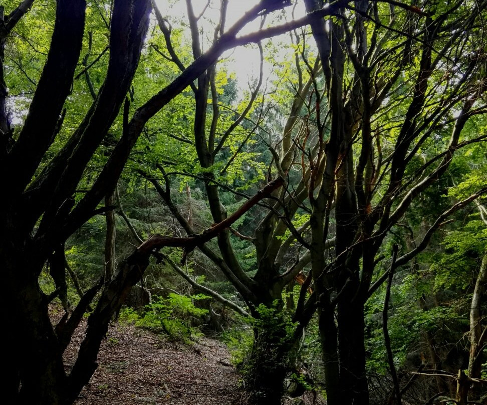 Jested-利贝雷茨必去景点