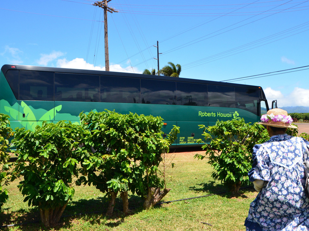 Robert's Hawaii-利胡埃必去景点